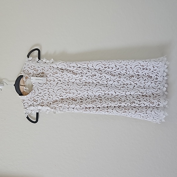 Francescas beautiful NWT summer dress XS - Picture 1 of 8